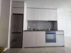 Amber Park (D15), Condominium #611941981